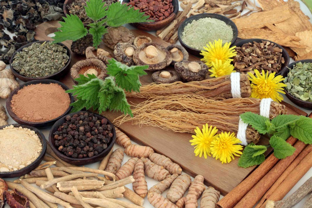 The Therapeutic Benefits of Adaptogenic Herbs