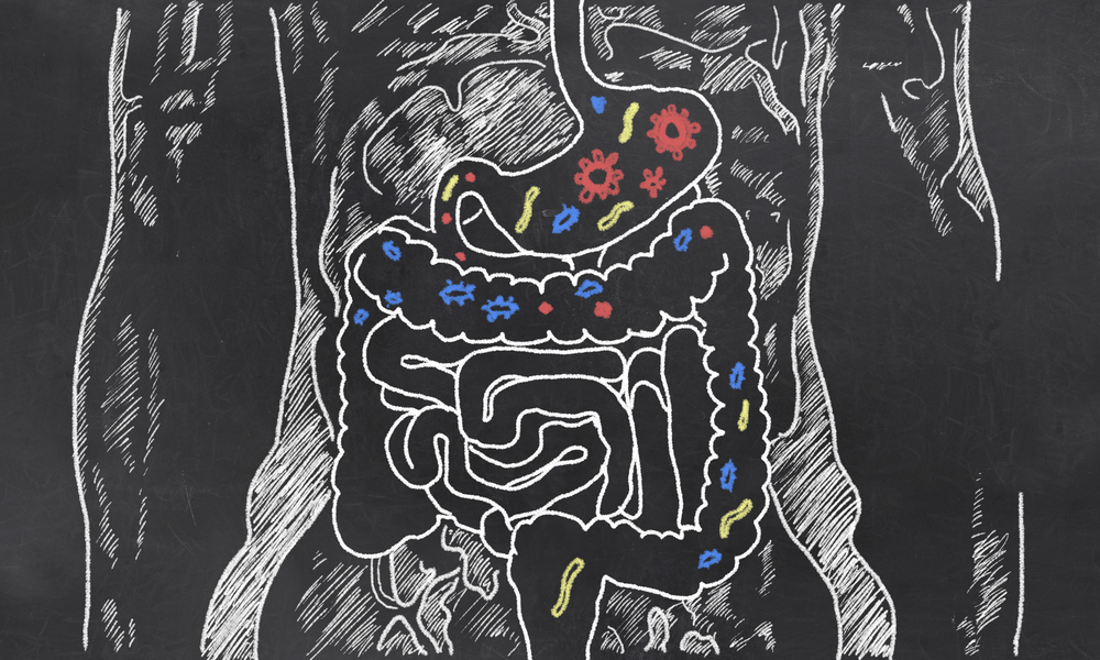 Water Quality and its Direct Impact on Gut Health