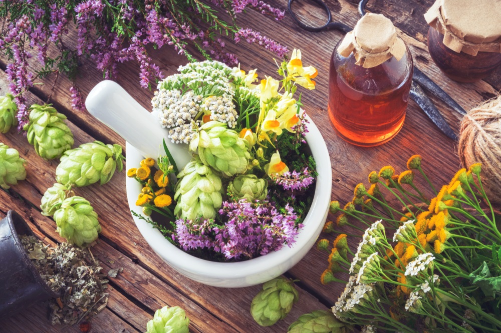The Resurgence of Traditional Herbal Medicine in Modern Health Practices